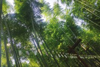 公司年度旅行即公司六周年庆典 